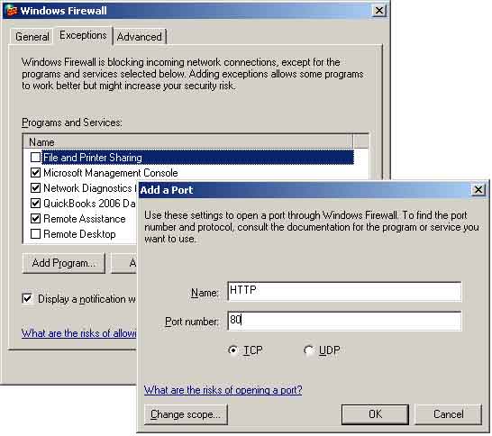 Create a &quot;Port Exception&quot; within Windows Firewall to allow other computers to see your BigTime website.